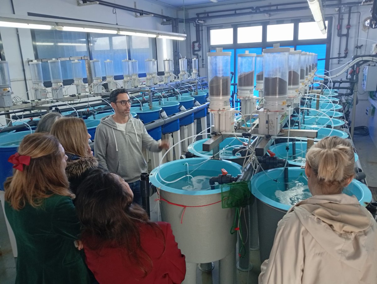 CTAQUA-Acuicultura (@ctaqua_ct) on Twitter photo 🟢 Gracias a la directora del Parque Natural #BahíadeCádiz, Paloma Bordons, por la visita realizada hoy a nuestro centro
🔸Una excelente oportunidad para mostrar nuestras instalaciones y presentar nuestro trabajo, proyectos y próximas acciones
<a href="/MedioAmbAND/">Consejería de Sostenibilidad y Medio Ambiente</a> #Salemprende 🟢 Gracias a la directora del Parque Natural #BahíadeCádiz, Paloma Bordons, por la visita realizada hoy a nuestro centro
🔸Una excelente oportunidad para mostrar nuestras instalaciones y presentar nuestro trabajo, proyectos y próximas acciones
<a href="/MedioAmbAND/">Consejería de Sostenibilidad y Medio Ambiente</a> #Salemprende