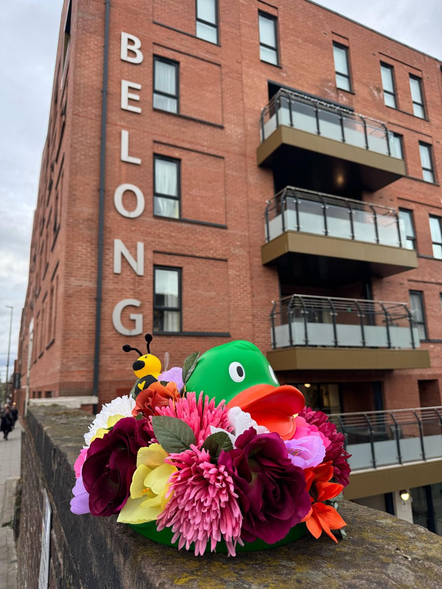 Belong Villages (@belongvillages) on Twitter photo This weekend marked the annual Chester Duck Race which saw Belong Chester raising funds for <a href="/COCHfundraising/">The Countess Charity</a> <a href="/TheCountessNHS/">Countess of Chester Hospital NHS Foundation Trust</a> 🦆
This year, we entered our duck, Blossom and Buzz, celebrating growing and being able to bloom in Belong. 🌺🪻 This weekend marked the annual Chester Duck Race which saw Belong Chester raising funds for <a href="/COCHfundraising/">The Countess Charity</a> <a href="/TheCountessNHS/">Countess of Chester Hospital NHS Foundation Trust</a> 🦆
This year, we entered our duck, Blossom and Buzz, celebrating growing and being able to bloom in Belong. 🌺🪻