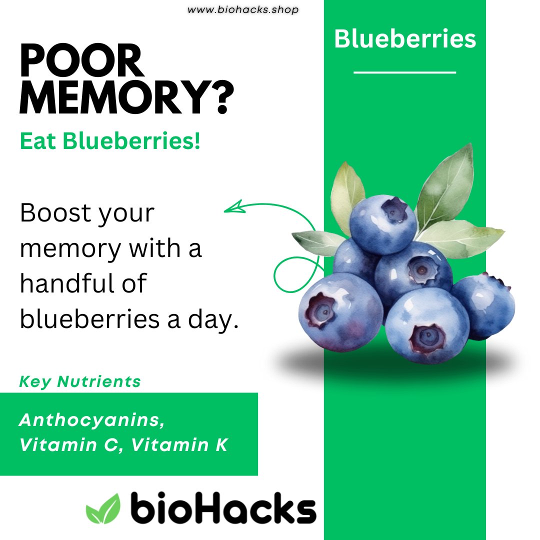 biohacks_'s tweet image. Having poor memory?
Eat blueberries!
Boost your memory with a handful of blueberries a day.

✨ Blueberries is packed with wellness boosters like Anthocyanins, Vitamin C, Vitamin K. Support your health naturally—one bite at a time!

🔖 #PoorMemory #Blueberries #NaturalWellness