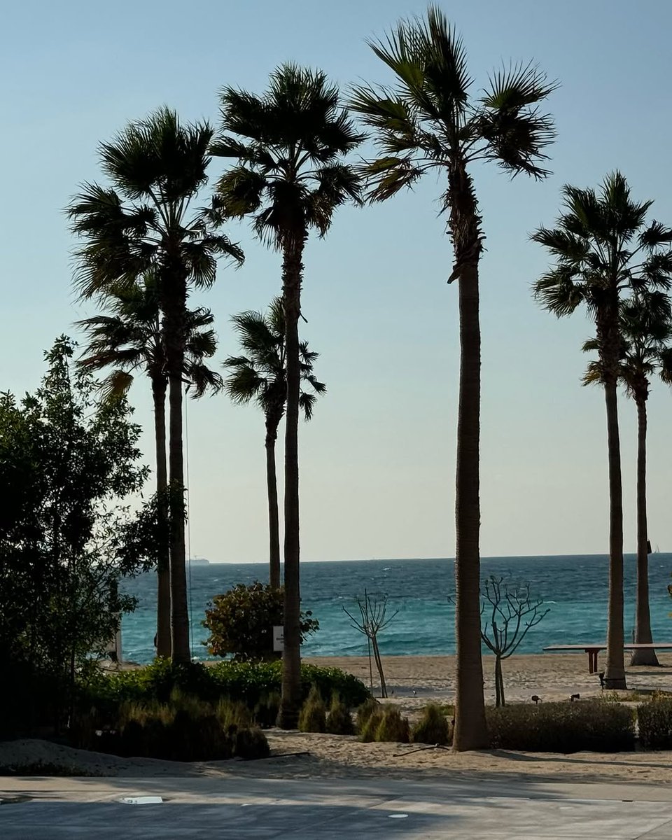 The brave man enjoys life first