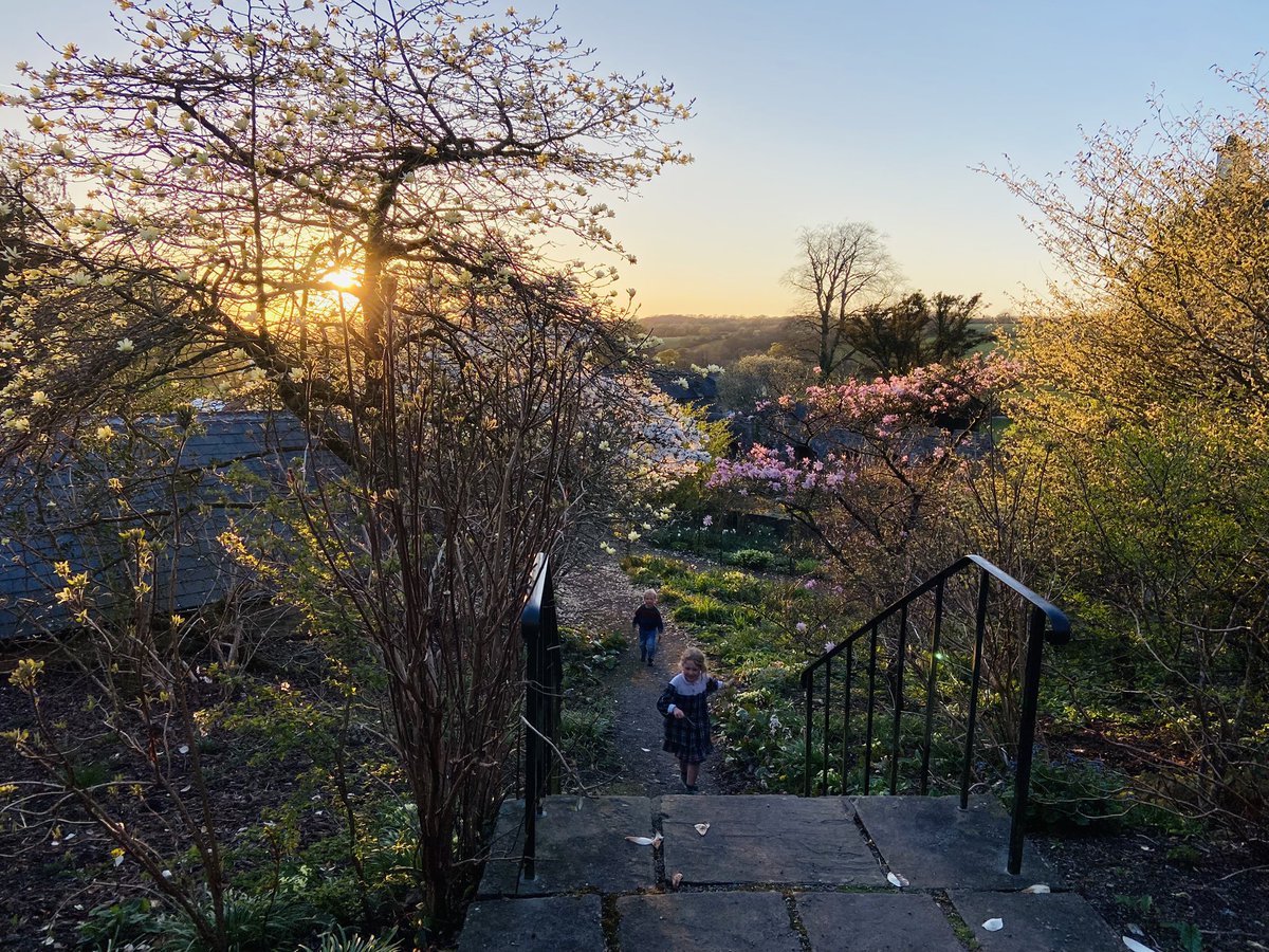 Will Millard (@millardwill) on Twitter photo Had a really lovely visit to <a href="/Aberglasney/">Aberglasney Gardens</a> over the weekend to see <a href="/DavidCowdryArt/">David Cowdry</a> open his stunning exhibition of paintings!
He’s down there all week till Sunday 13th and the gardens themselves are glorious anyway - especially in all this spring sunshine - well worth a visit! Had a really lovely visit to <a href="/Aberglasney/">Aberglasney Gardens</a> over the weekend to see <a href="/DavidCowdryArt/">David Cowdry</a> open his stunning exhibition of paintings!
He’s down there all week till Sunday 13th and the gardens themselves are glorious anyway - especially in all this spring sunshine - well worth a visit!