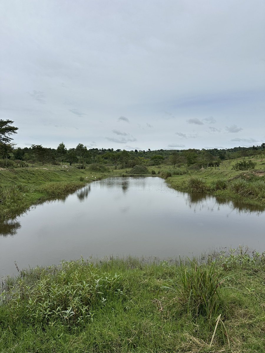 Novine Farm 🧑‍🌾 tweet media