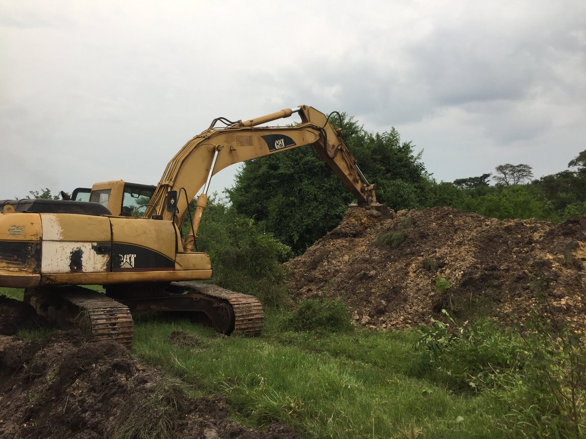 Novine Farm 🧑‍🌾 tweet media