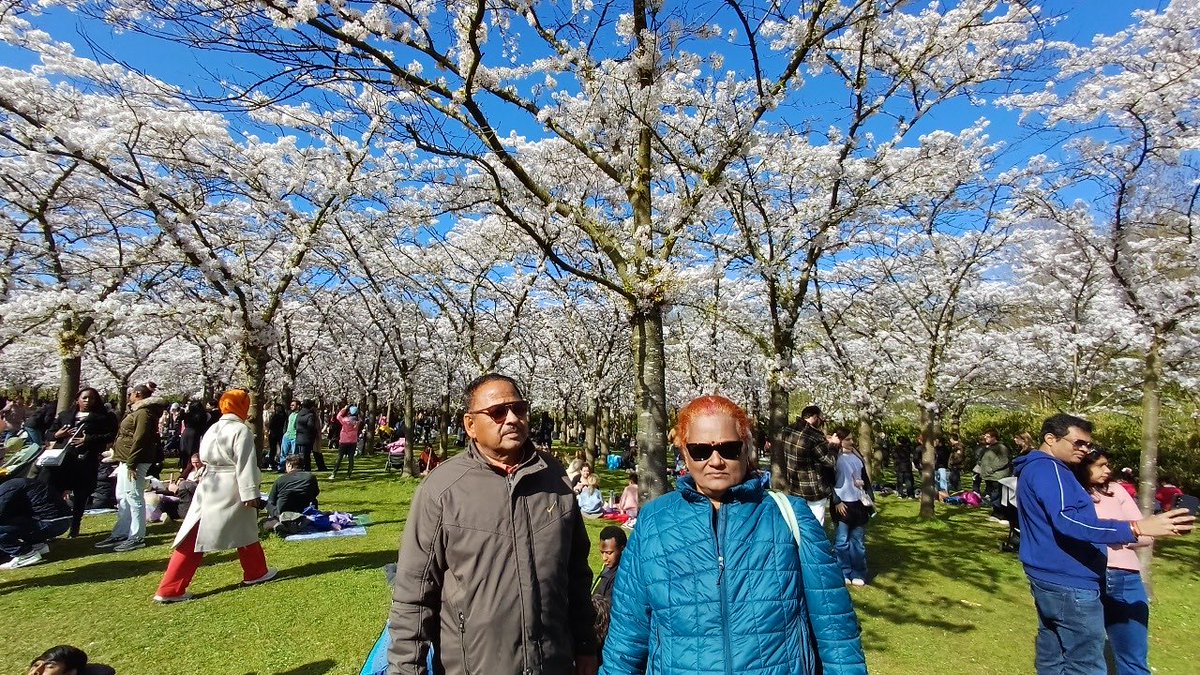 R S TIWARI tweet media