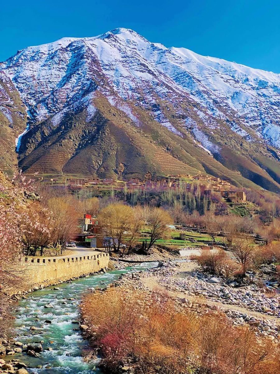 ismail salim tweet media