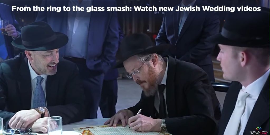 Torah Live tweet media