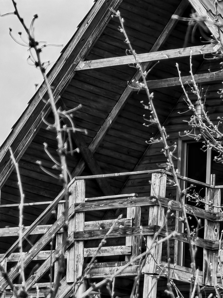 Madmy (@_ms_mary_) on Twitter photo 