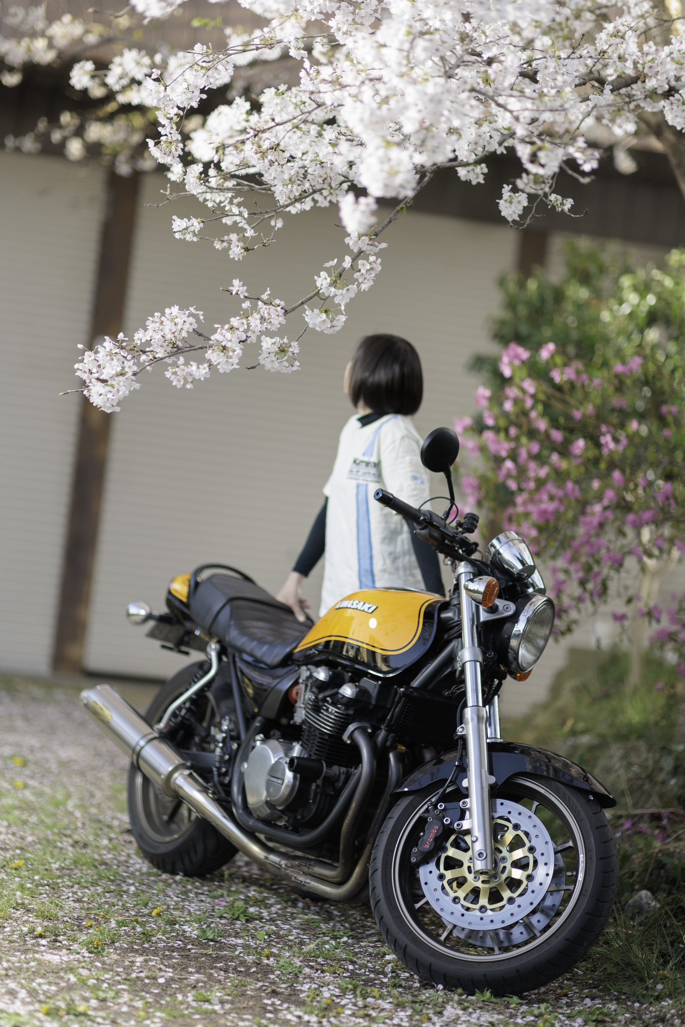 emi様 Gx0YyjybsAAID-q.jpg