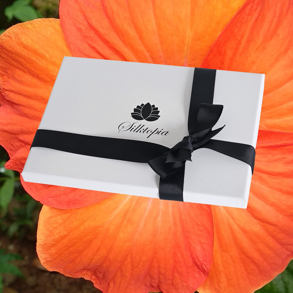 Amaryllis
A bloom of bold grace.
Crimson, berry, and strength in full flower.
🔗 silktopia.co.uk/products/amary…