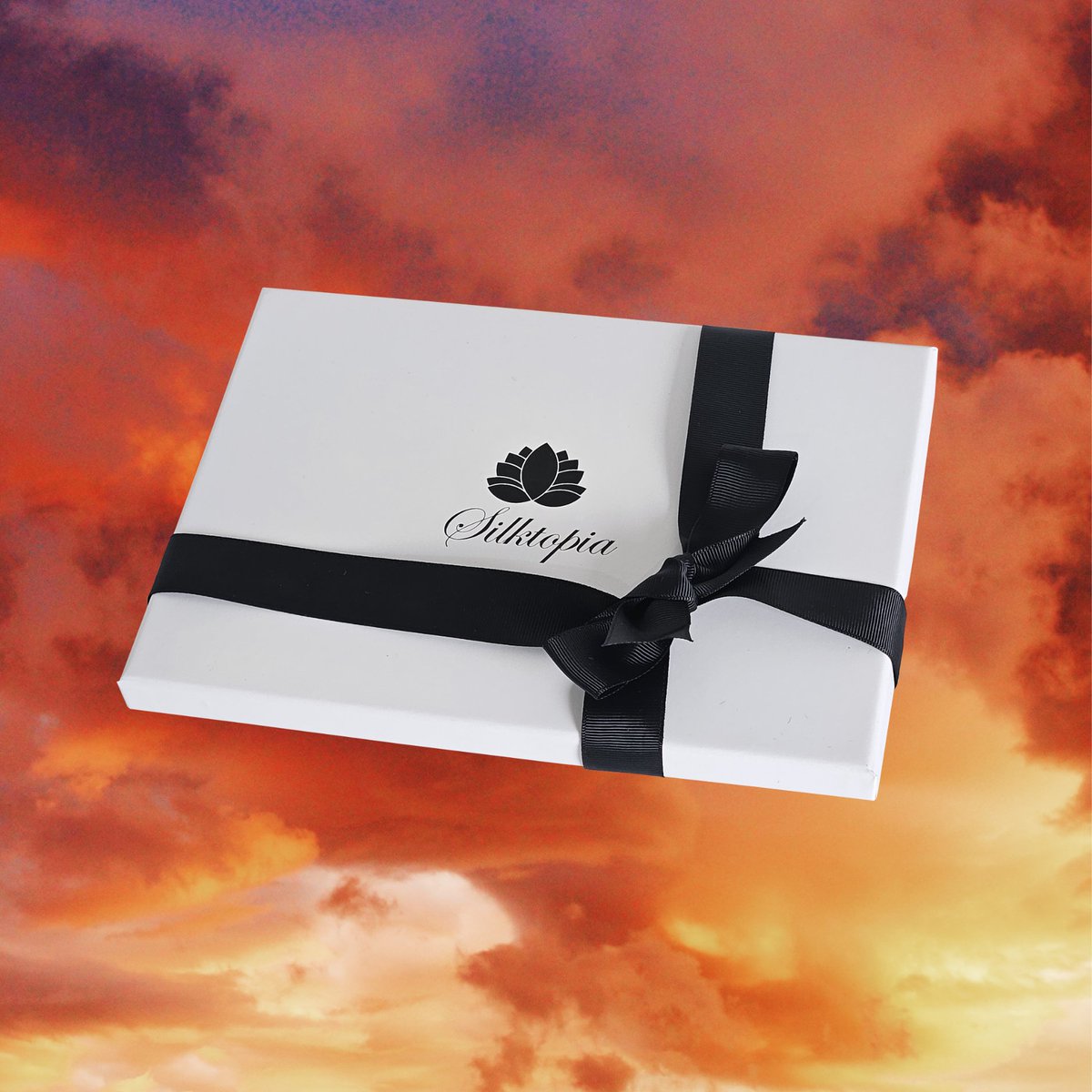 Astrology
Written in the stars.
Zodiac signs &amp; lunar light in silk.
🔗 silktopia.co.uk/products/astro…