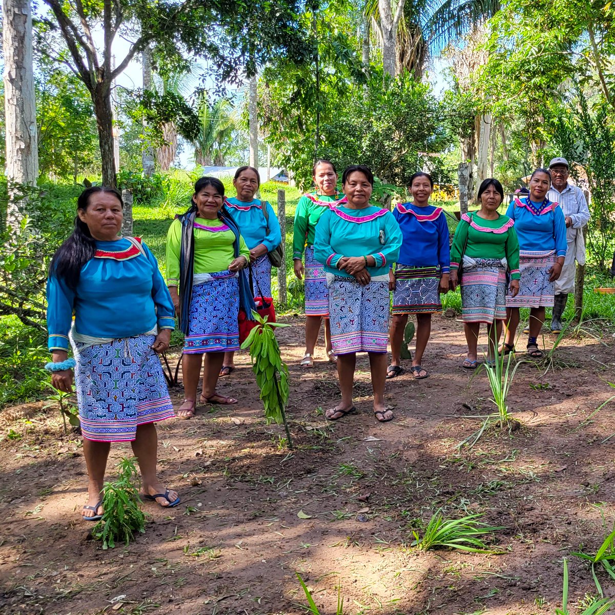 SuperGooddotart's tweet photo. Medicinal Plant Garden

Our first release funds a project led by anthropologist Jeremy Narby for Nouvelle Planète, improving the quality of life of Shipibo families in the Amazon https://t.co/IUfL9pol7e