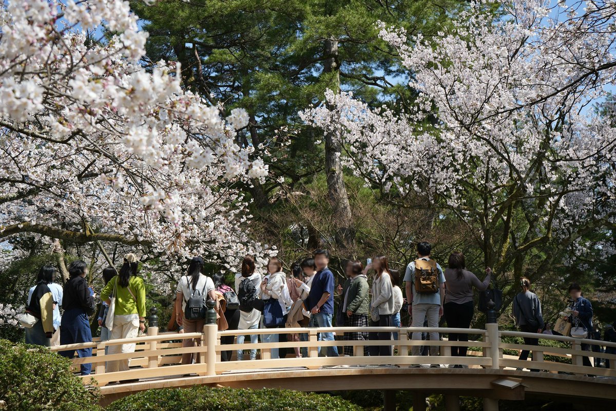 ふらっと金沢 on X: ふらっと金沢 on X: