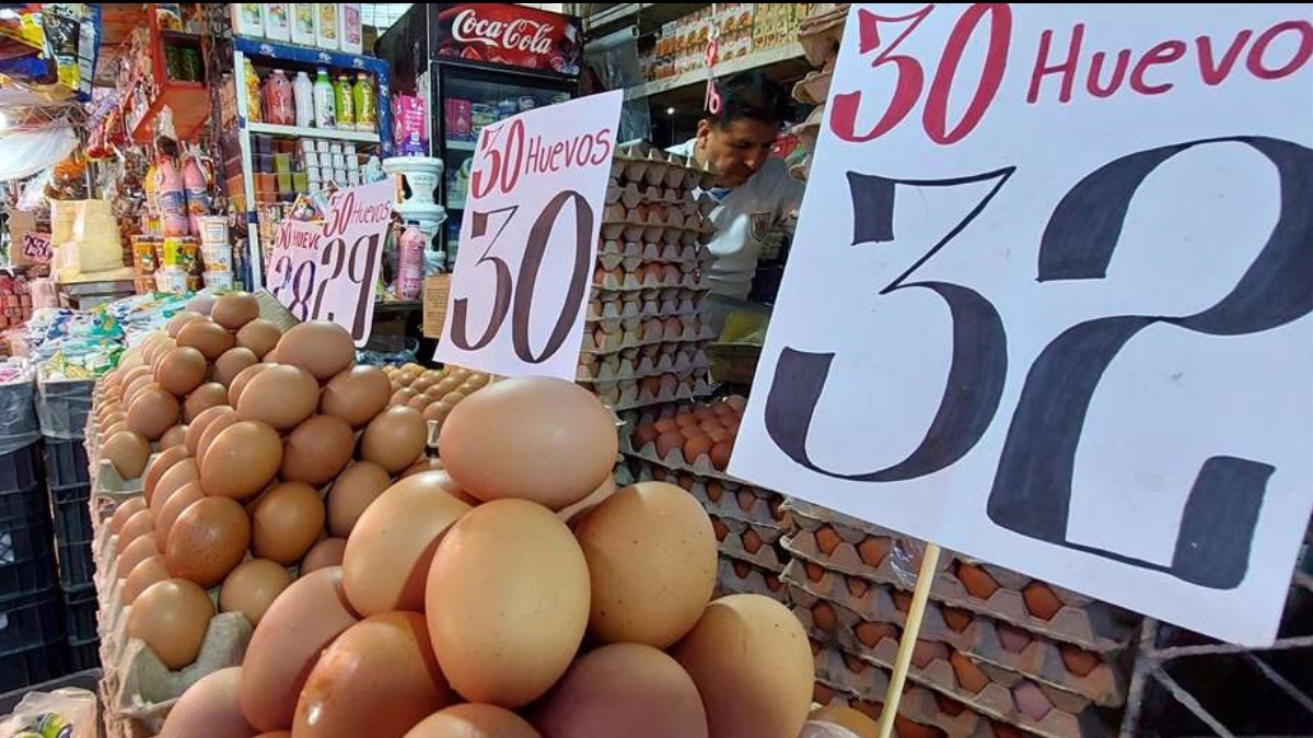 🔵 #GrupoFides | #ANF #Economía 𝐂𝐫𝐢𝐬𝐢𝐬 𝐞𝐜𝐨𝐧ó𝐦𝐢𝐜𝐚: 𝐄𝐧 𝐭𝐫𝐞𝐬 𝐦𝐞𝐬𝐞𝐬 𝐲𝐚 𝐬𝐞 𝐚𝐥𝐜𝐚𝐧𝐳ó 𝐜𝐚𝐬𝐢 𝐞𝐥 𝟕𝟎% 𝐝𝐞 𝐥𝐚 𝐢𝐧𝐟𝐥𝐚𝐜𝐢ó𝐧 𝐩𝐫𝐨𝐲𝐞𝐜𝐭𝐚𝐝𝐚 𝐩𝐚𝐫𝐚 𝐭𝐨𝐝𝐨 𝐞𝐥 𝐚ñ𝐨 
Lea la nota aquí 👉 acortar.link/tzeFex