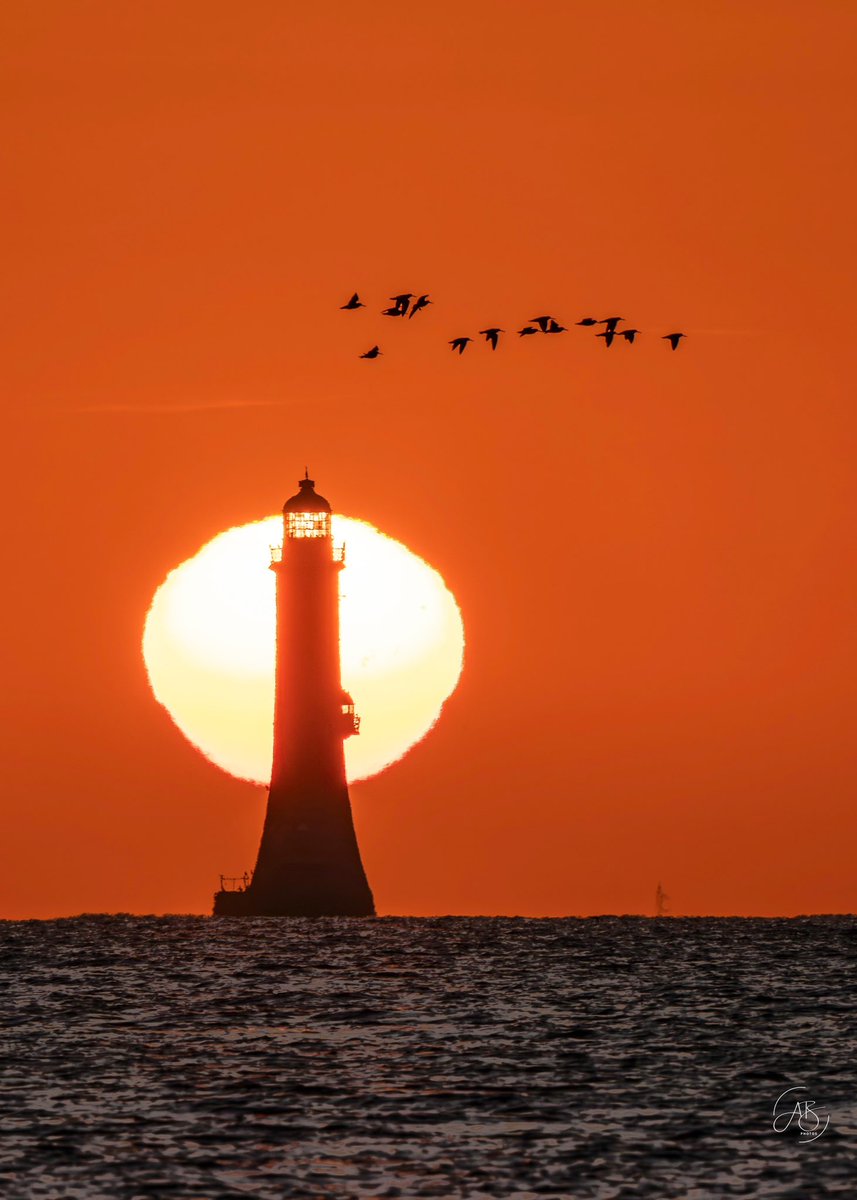 Ann Bruen tweet media