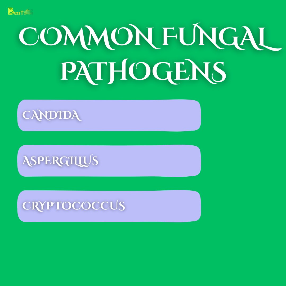 buzztowns's tweet image. From environmental factors to weakened immune systems, several elements are contributing to the spread of fungal infections. Understanding these risks is crucial for prevention and treatment. #FungalPathogens #HealthAwareness #GlobalHealthCrisis
buzztowns.com/fungal-infecti…
