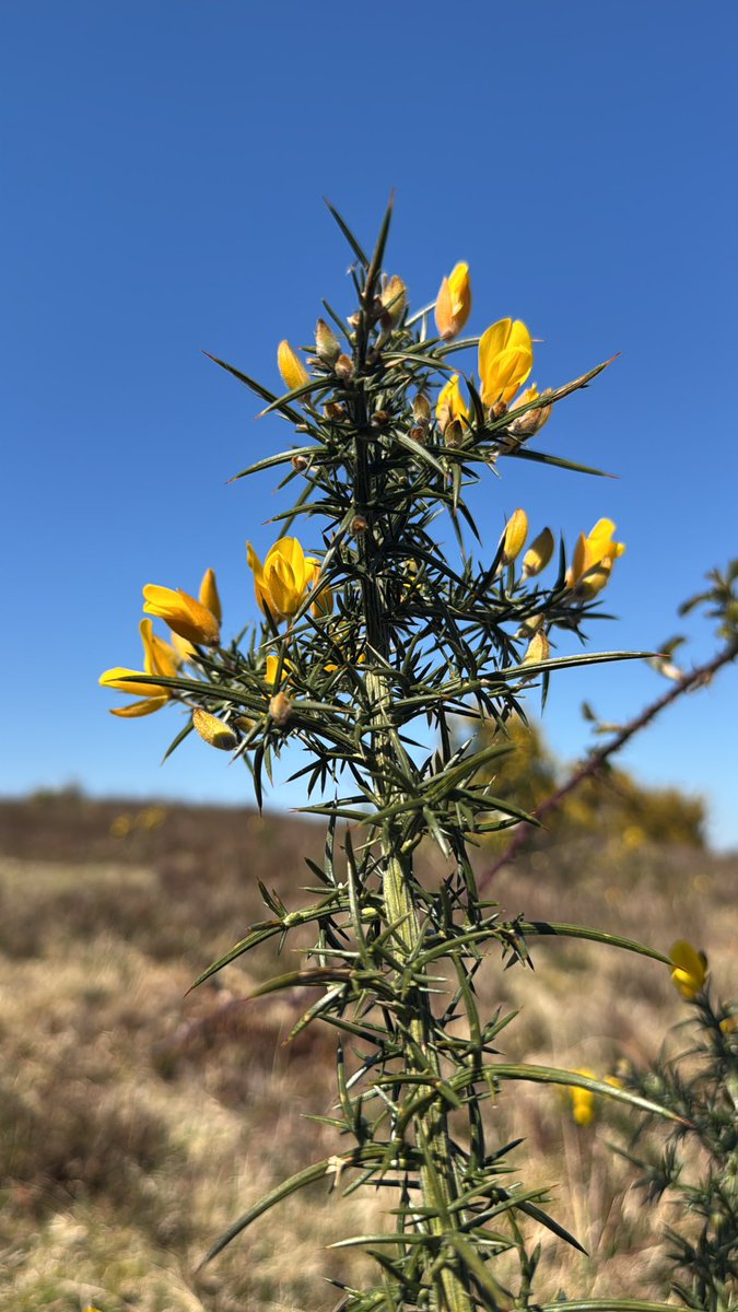 dcs_vortex's tweet image. #OSINT challenge. Where am I?
#osintchallenge