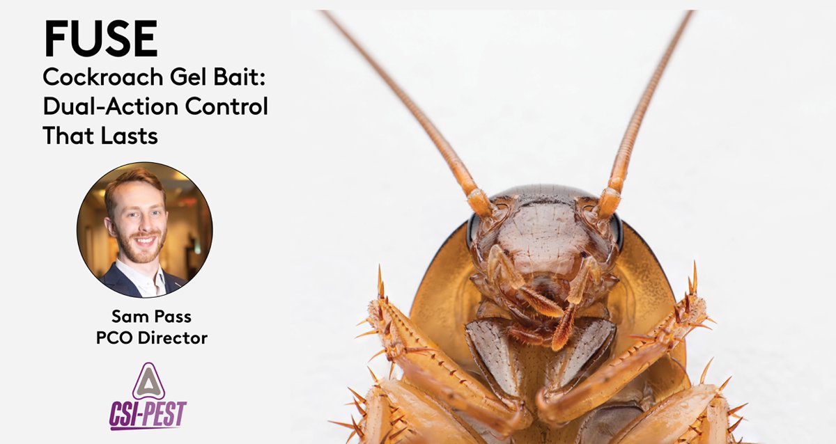 csi_pest's tweet image. CSI is excited to introduce a smarter approach to cockroach control! 🪳💡 PCO Director Sam Pass shares insights on CSI’s new proprietary FUSE Cockroach Gel Bait—designed for maximum effectiveness. 
#CockroachControl  #IPM #InnovationYouCanApply

&amp;gt;&amp;gt; hubs.la/Q03fC4Sk0