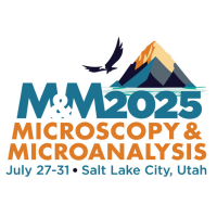 HerzanLLC's tweet photo. Join Herzan at IMRC, M&amp;M, and ISTFA in 2025! https://t.co/E6RHborrAa https://t.co/VdDWruqZYi