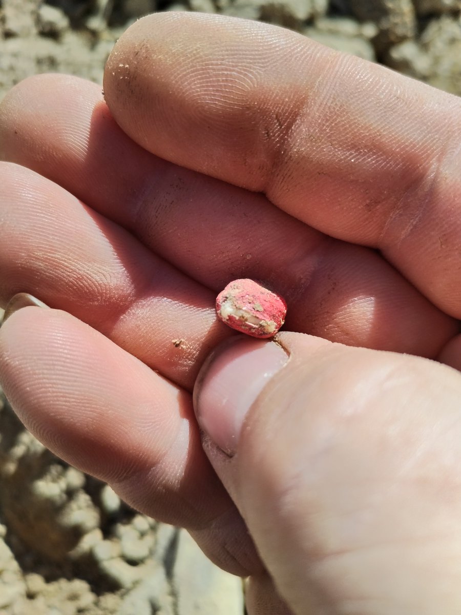 Veaulin Brice 🚜🌾🌻🌽 tweet media