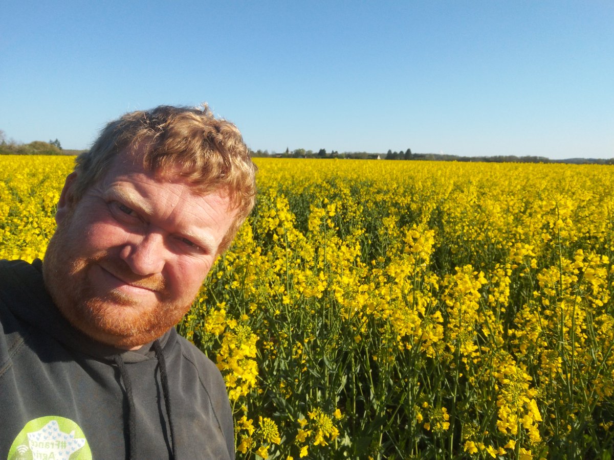 Veaulin Brice 🚜🌾🌻🌽 tweet media