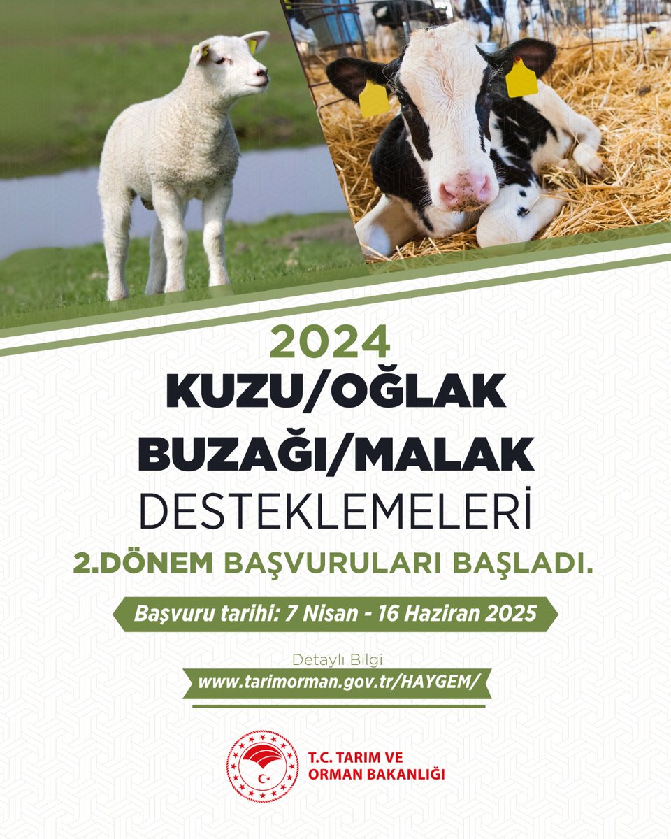 🐑🐄 2024 Yılı 2. Dönem Büyükbaş ve Küçükbaş Hayvancılık Destekleme Başvuruları başladı.

Ayrıntılara göz atmak için 👇
🔗tarimorman.gov.tr/HAYGEM/Haber/3…