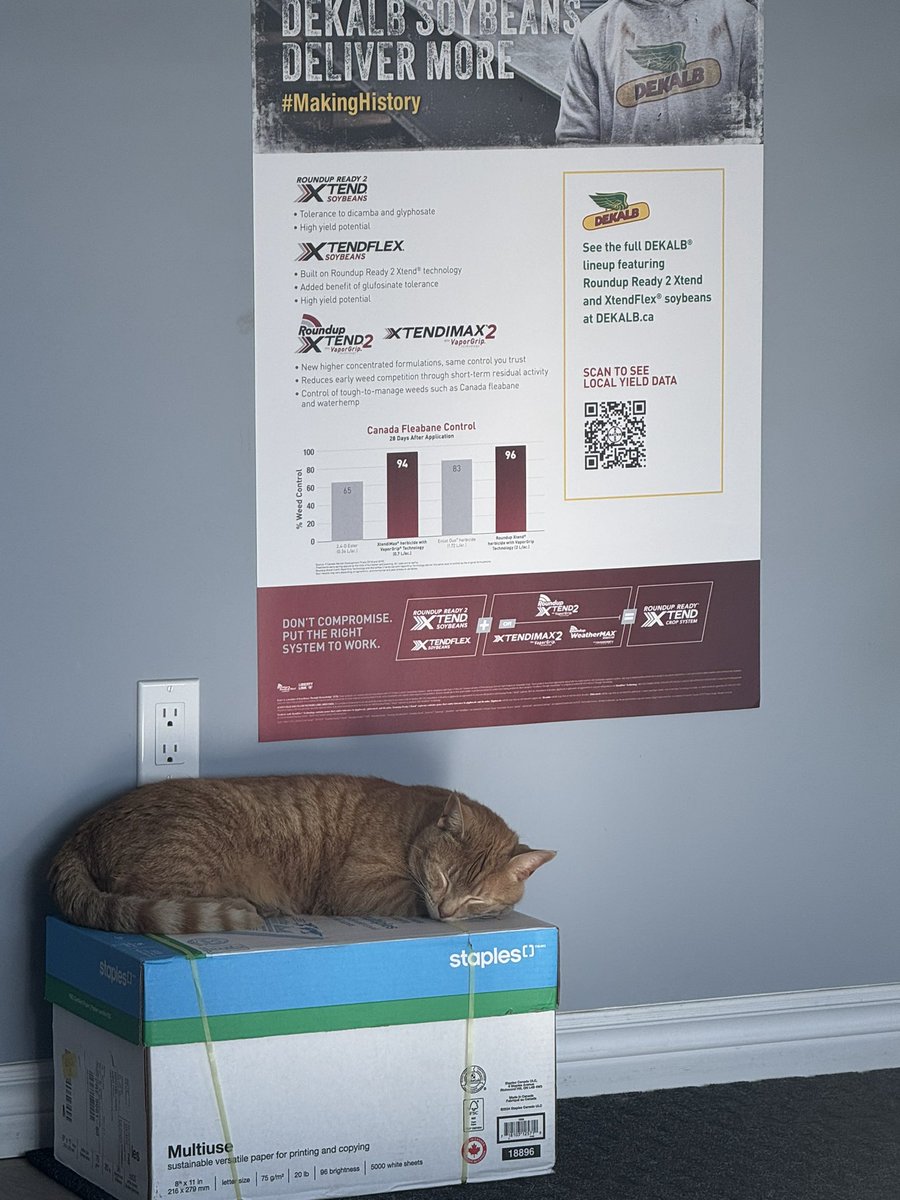 “Beans” our sleepy farm cat wished the weekend was…
Wait for it….
…extended 
Follow me for more terrible jokes 
<a href="/DEKALB_Canada/">DEKALB Canada</a>