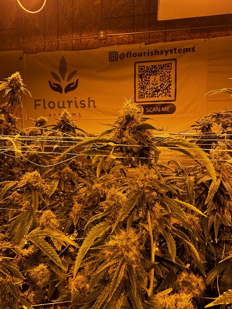 Nice update from this customer in Southeast Michigan