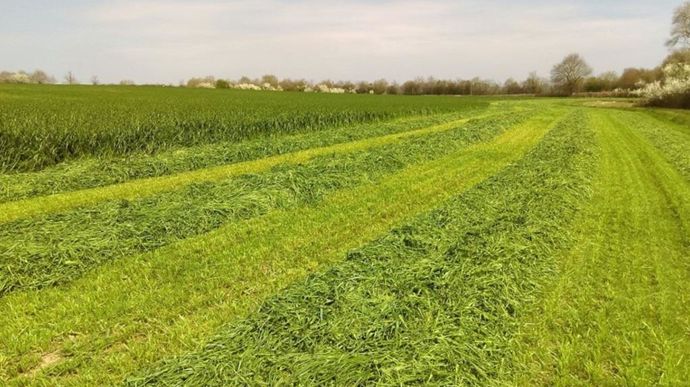 [L'actu d'Arvalis] Anticiper les ensilages d'herbe pour garantir la qualité de la récolte dlvr.it/TK0wk5 #farming #Agriculture #agronomy