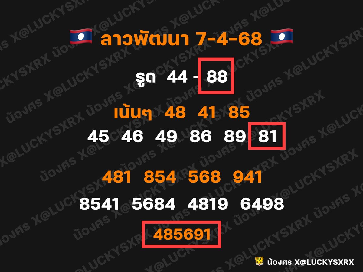 •🐯 น้องศร 🐯• tweet media