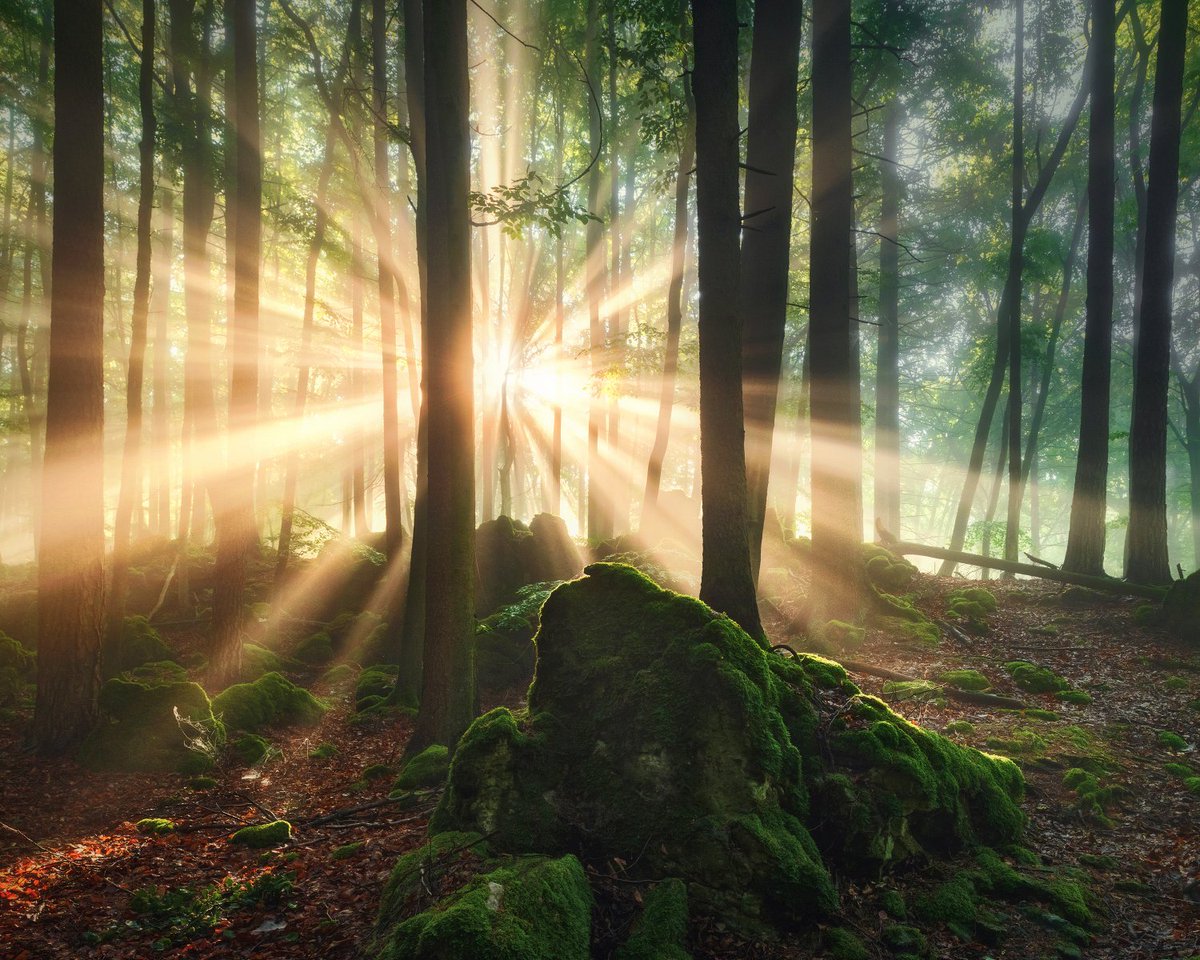 Fogs &amp; Rocks
Nice light show in a mossy forest
Bavaria, Germany 
#landscapephotography #Landschaftsfotografie #forest