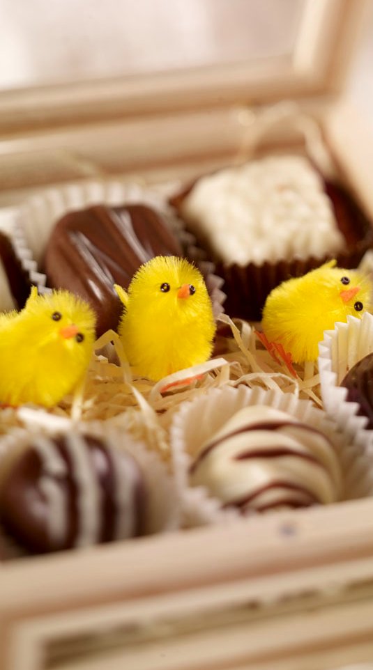 Easter is in 2 weeks. So enjoying real Belgian Chocolate Easter eggs available here: phoenixdelite.ie/sugar-free-eas…
#SugarFree #glutenfree #chocolate #easter #eggs #shopping #Eastereggs