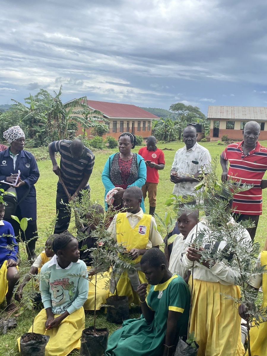 TeddyNabakoozaG's tweet photo. Teach them young.
Tree planting in Ssingo
#communitytreeplanting https://t.co/THWK1IOXKx