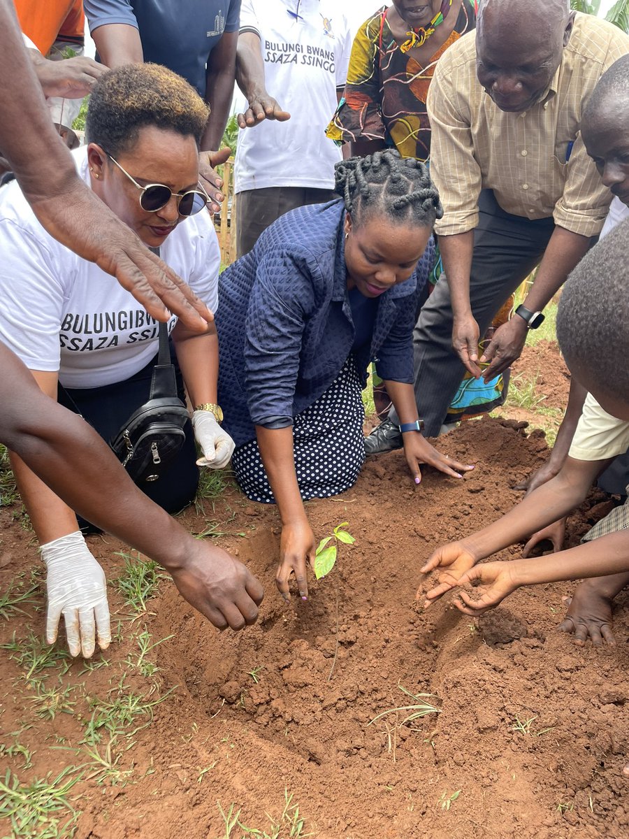TeddyNabakoozaG's tweet photo. Teach them young.
Tree planting in Ssingo
#communitytreeplanting https://t.co/THWK1IOXKx