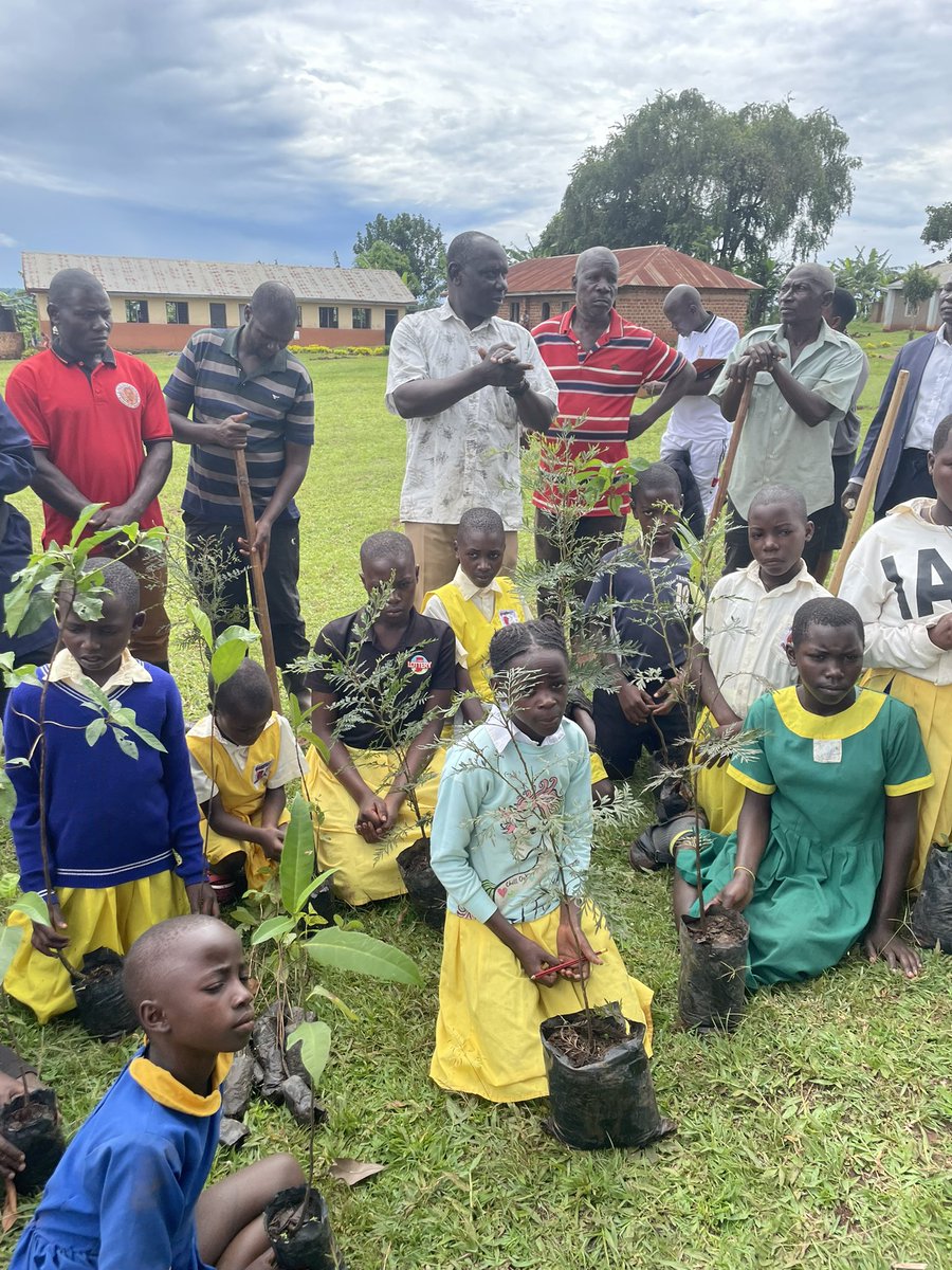 TeddyNabakoozaG's tweet photo. Teach them young.
Tree planting in Ssingo
#communitytreeplanting https://t.co/THWK1IOXKx