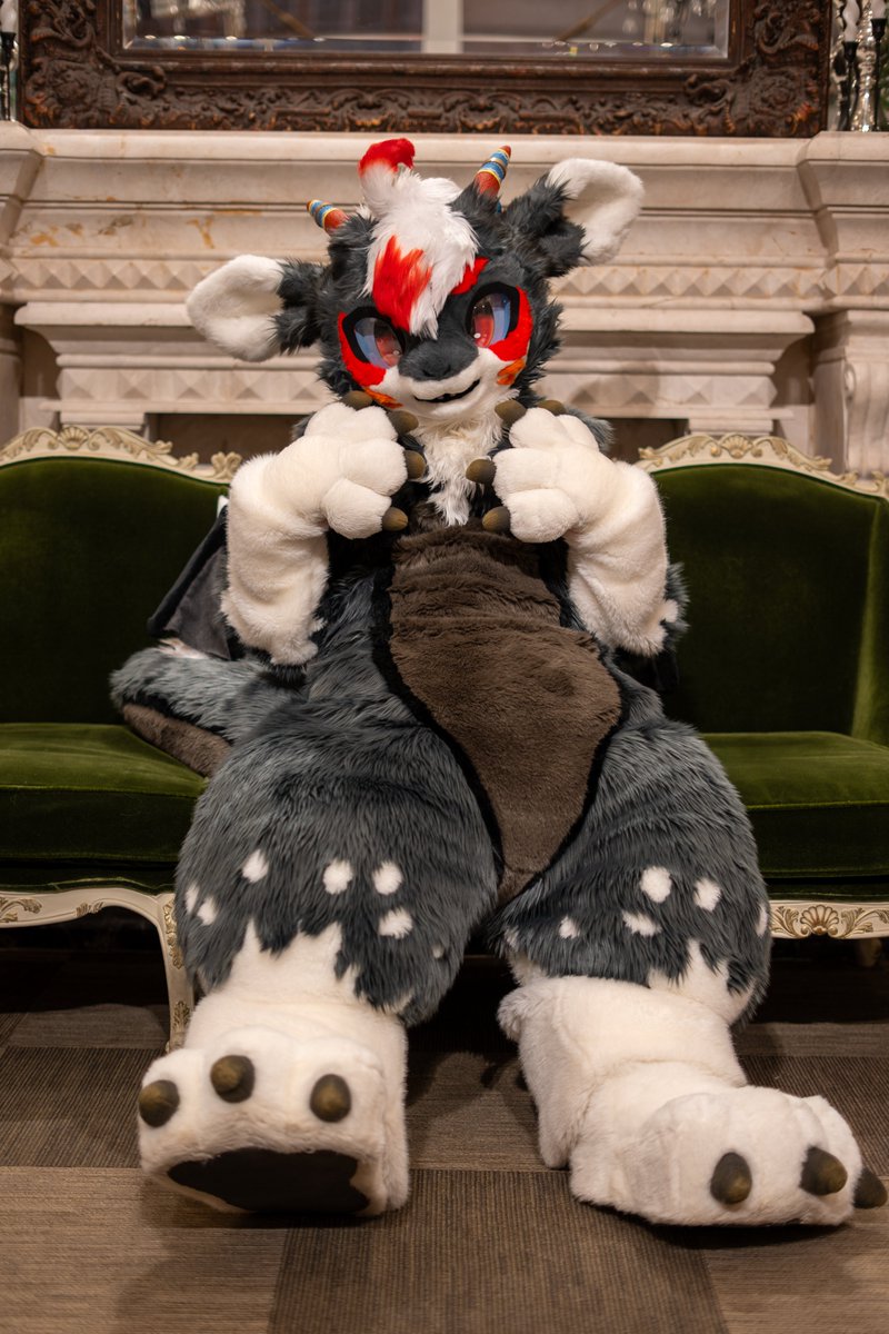 シャラートくんだぁ🥰🥰👑🥰🥰 #ケモノフォーカス