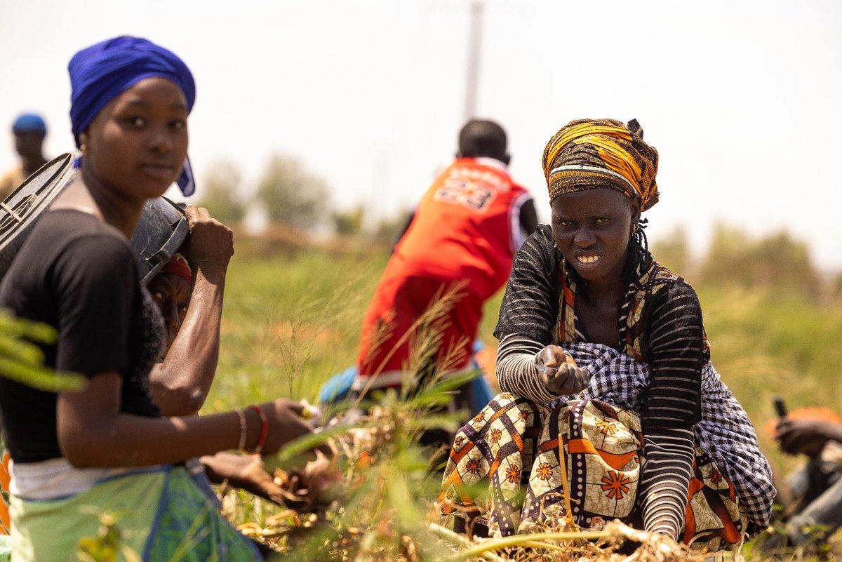 CnvAfrique's tweet photo. 🌍 Saviez-vous que l'horticulture ? 🌱 Ce secteur fait vivre près de 500 000 travailleurs et booste l'économie ! Soutenons ensemble de meilleures conditions de travail. 💪
#Horticulture #Sénégal #TravailDecent https://t.co/L8qwyniBQC