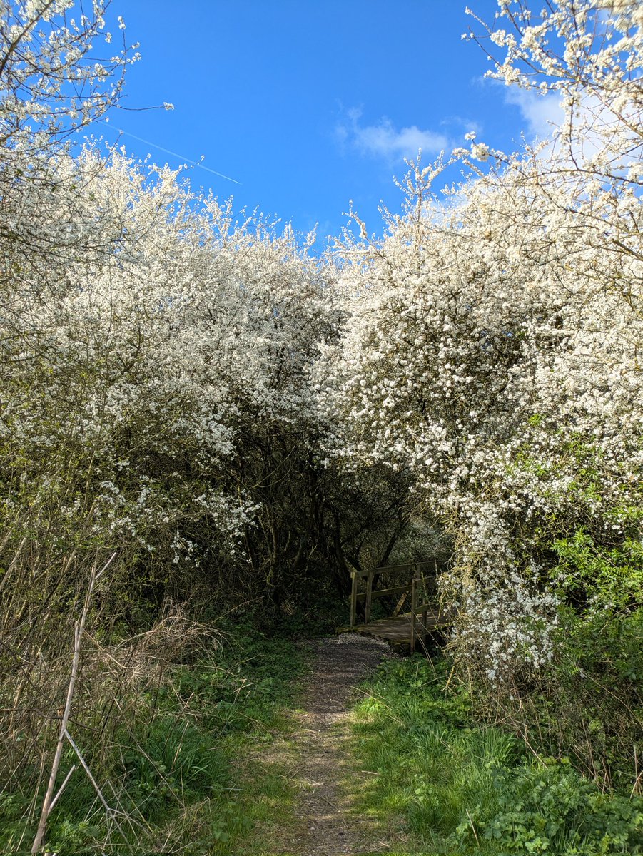 Paul Brook tweet media