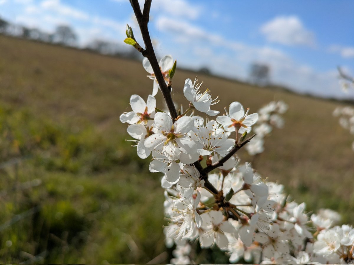 Paul Brook tweet media