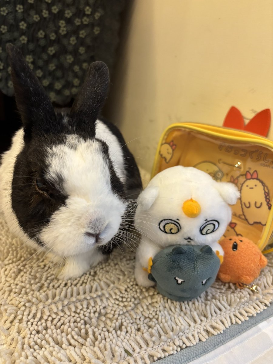 patchwork_star's tweet image. 又拿什麼奇怪東西來ᖛ ̫ ᖛ