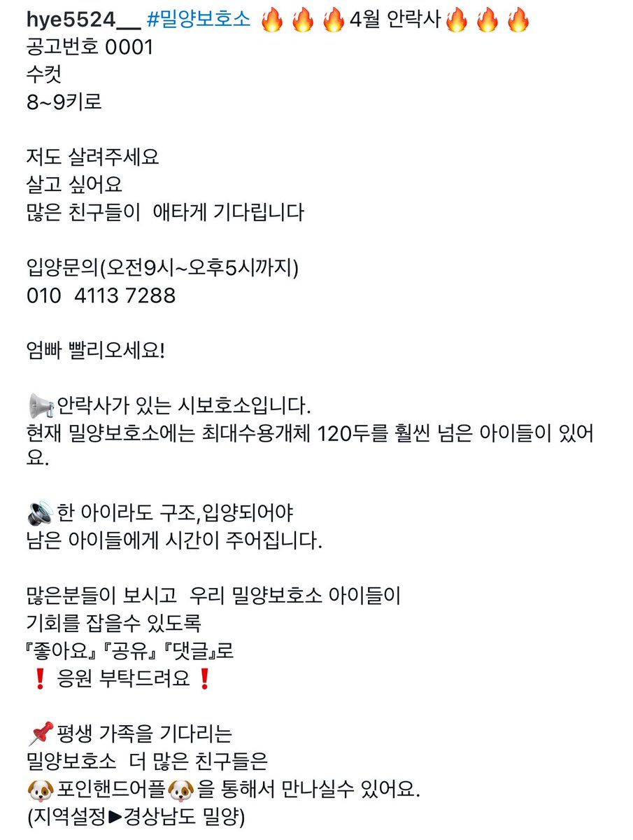 단비 tweet media