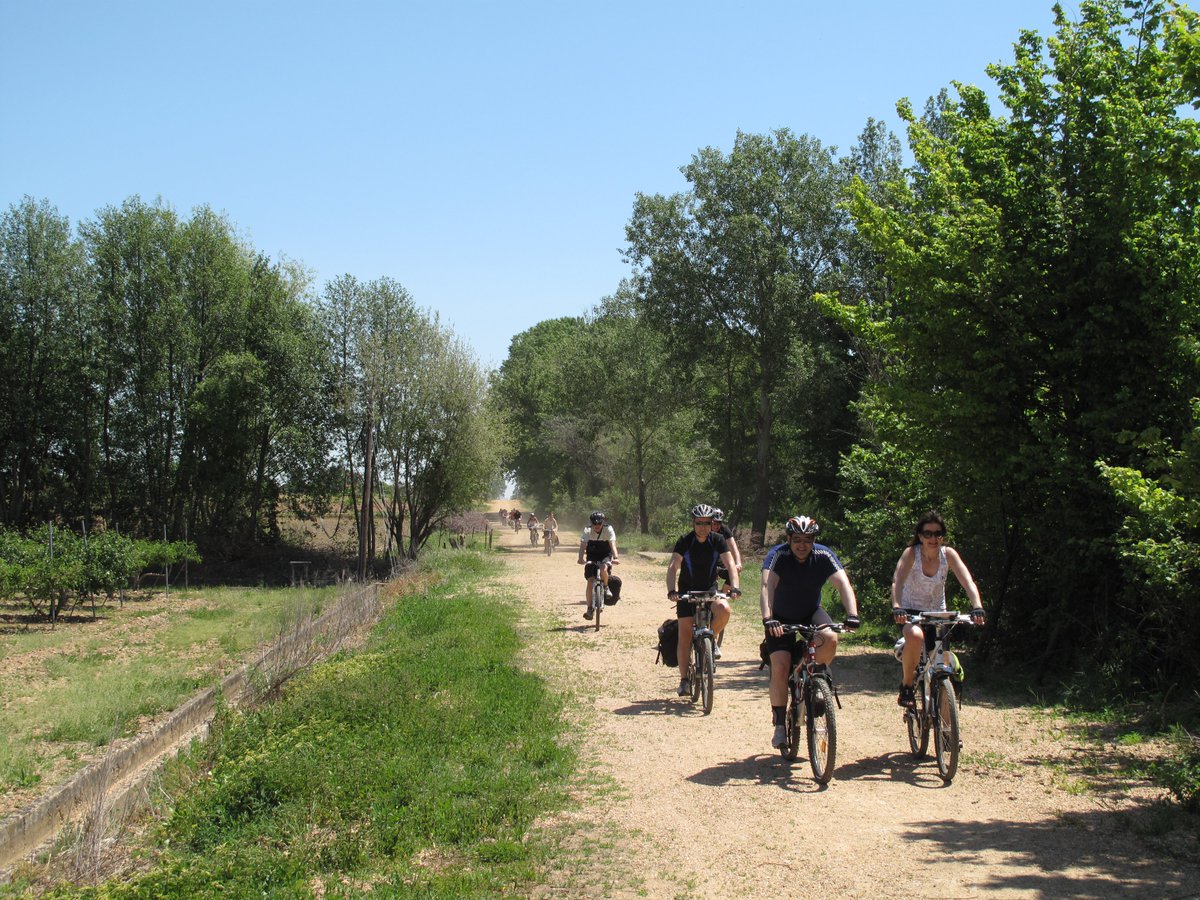 TheWayExp's tweet photo. 🚴‍♀️ Explore the French Camino by bike – from León to Santiago!

– Guided group &amp; support vehicle
– Ride through Castile, Bierzo &amp; Galicia
– Receive your Compostela at the finish
– Limited spots for 2025 &amp; 2026
Details &amp; bookings: https://t.co/G9nAwIreNN
#CaminoByBike #FrenchCamino https://t.co/1cFFCyhEkQ