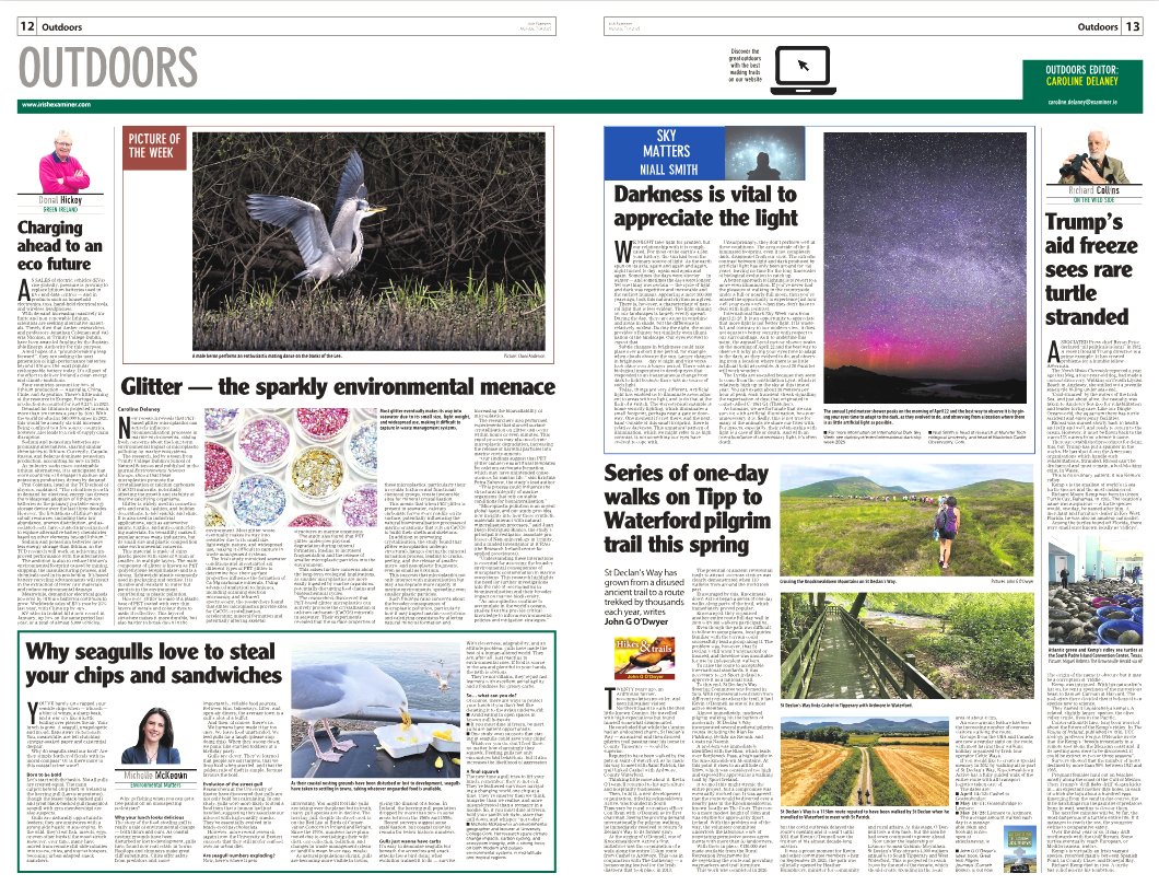 CarDelaney's tweet image. exa.mn/t7z
‣ Cheeky seagulls &apos;sharing&apos; our snacks
‣ Rare stranded turtle &amp;amp; Trump
‣ Irish research on next gen sustainable batteries
‣ Series of 1-day walks on Tipp to Waterford pilgrim trail
‣ Glitter — eco fail
 📷Heron
@RushyMountain @palaeo_mich @Johngodwyer1