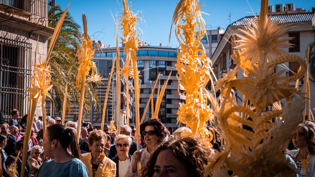 𝗣𝗿𝗼𝗰𝗲𝘀𝗶𝗼́𝗻 𝗗𝗼𝗺𝗶𝗻𝗴𝗼 𝗱𝗲 𝗥𝗮𝗺𝗼𝘀 Elche · 𝗙𝗶𝗲𝘀𝘁𝗮 𝗱𝗲 𝗜𝗻𝘁𝗲𝗿𝗲́𝘀 𝗧𝘂𝗿𝗶́𝘀𝘁𝗶𝗰𝗼 𝗜𝗻𝘁𝗲𝗿𝗻𝗮𝗰𝗶𝗼𝗻𝗮𝗹
📆13 de abril📍Pº de la Estación
10:45 h. Bendición de las palmas. Procesión de Jesús Triunfante
visitelche.com/event/programa…
#Elche #semanasanta