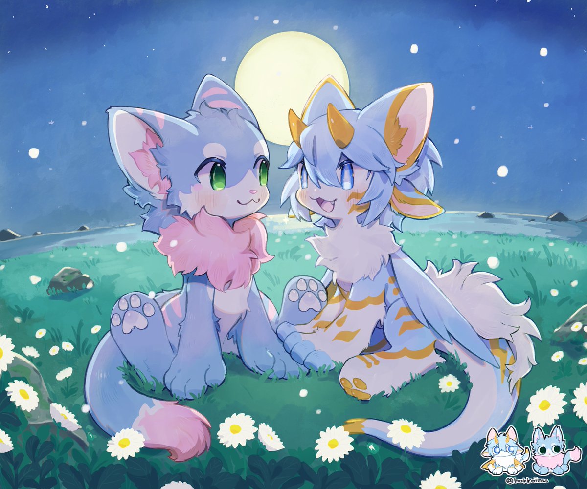 maya_furry's tweet image. 보름달 아래 초원에서...💖