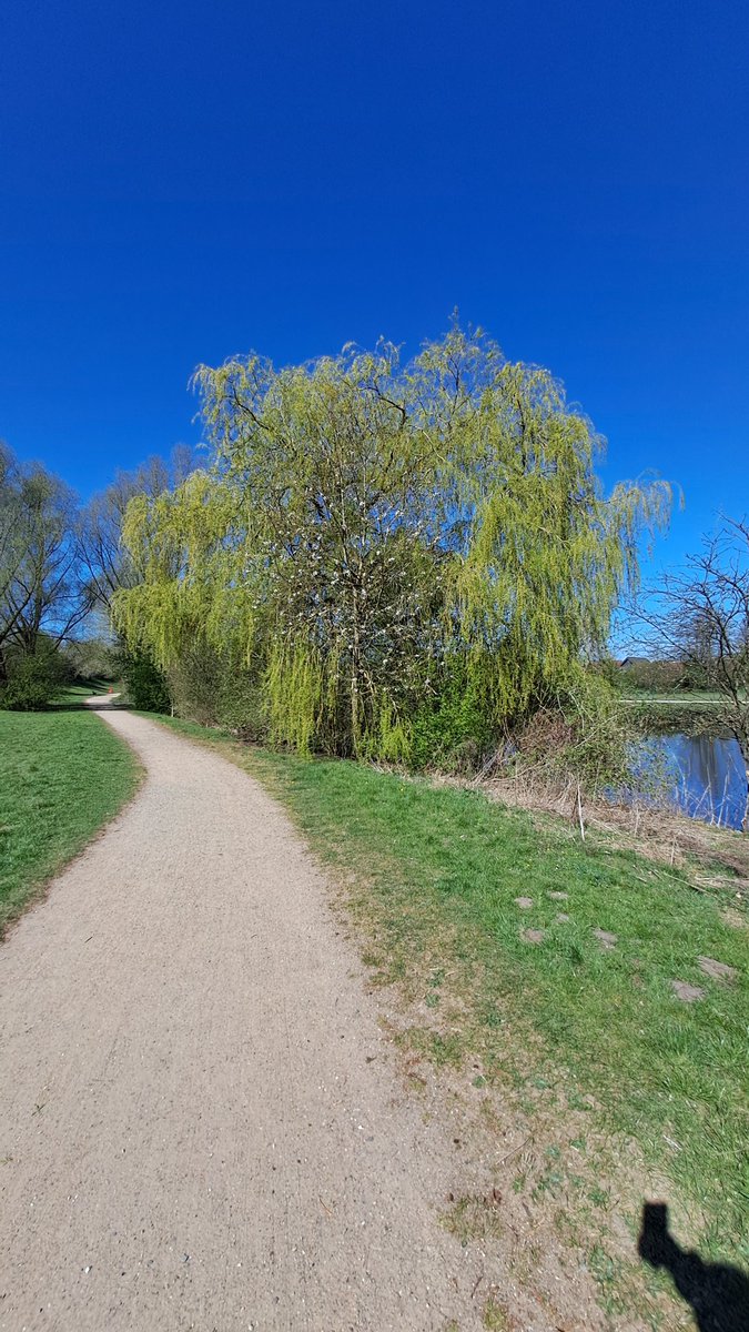 Hamburg. Die Sonne brennt.