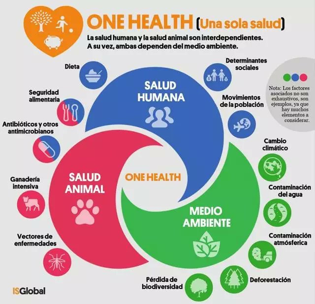 Coneixes el concepte de One Health?
La nova salut pública contempla la relació entre salut humana, animal i ambiental.
Infografia de <a href="/ISGLOBALorg/">ISGlobal</a>
Perquè no podem estar sans en un planeta malalt