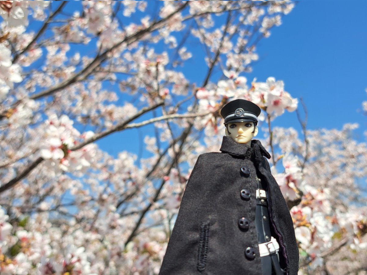 お花見してきました