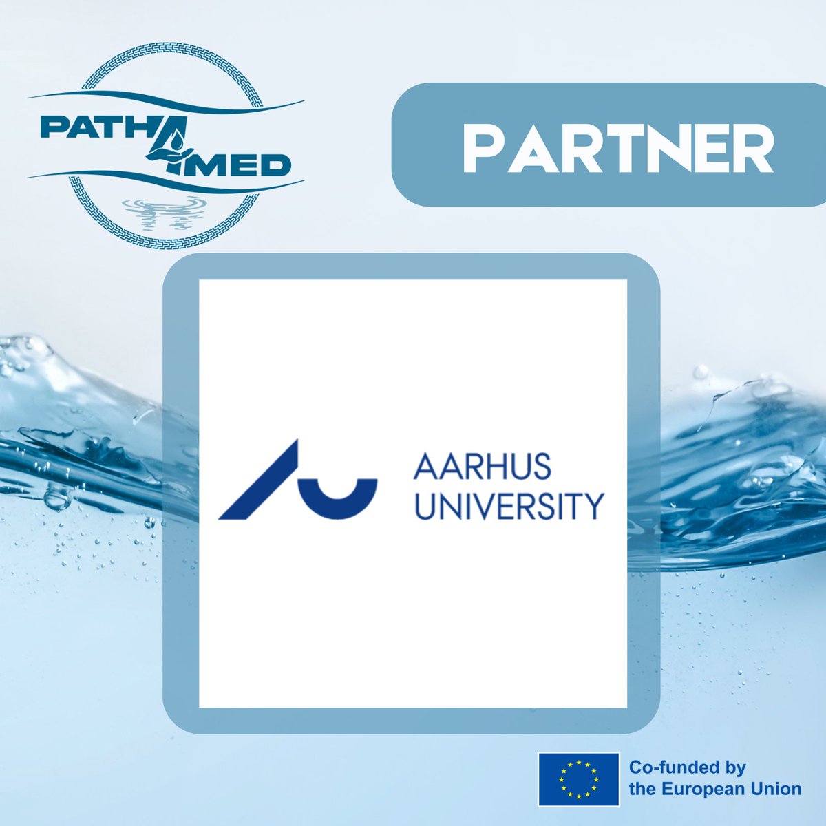 Path4Med tweet media