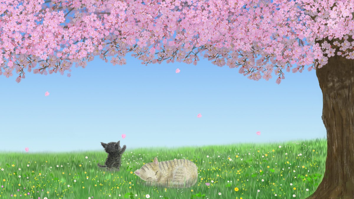 コロコロ / corocoro 🐱 tweet media