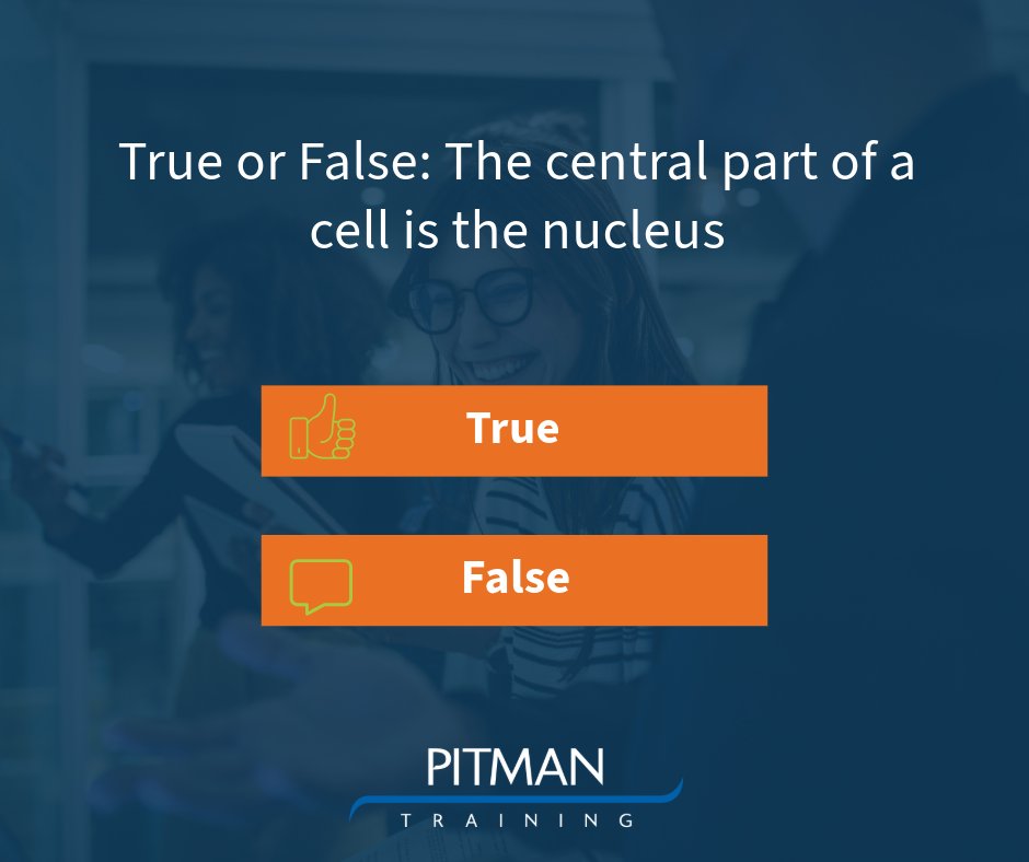 Test your Medical Knowledge! 🩺